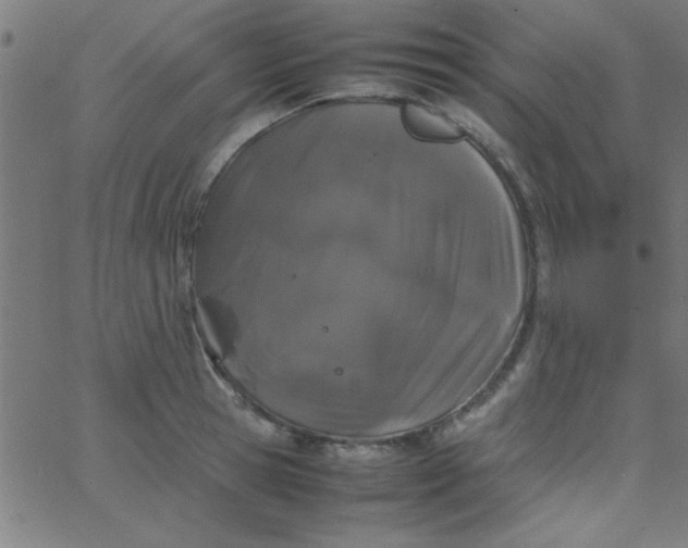 X0000067910945200604271914