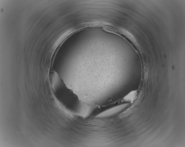 X0000067910946200604271914