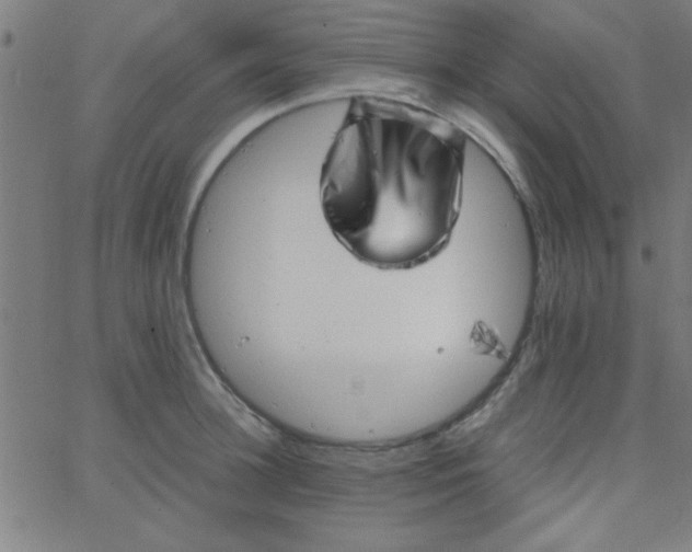 X0000067910948200604271914