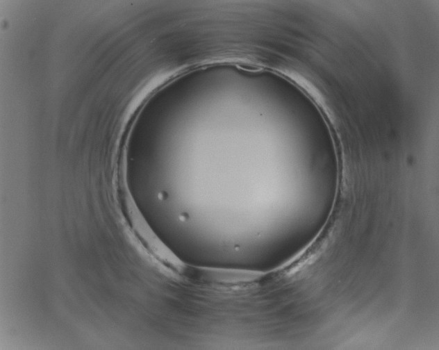 X0000067910949200604271914