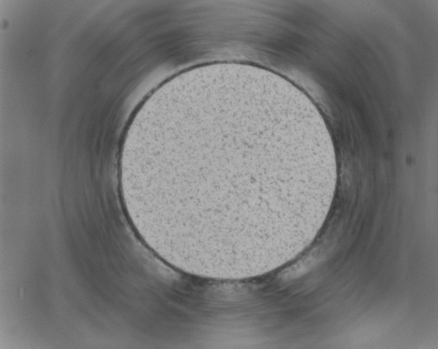 X0000067910950200604271914