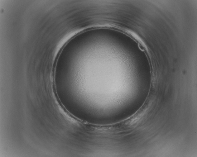 X0000067910951200604271914