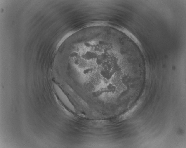 X0000067910953200604271914