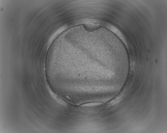 X0000067910954200604271914