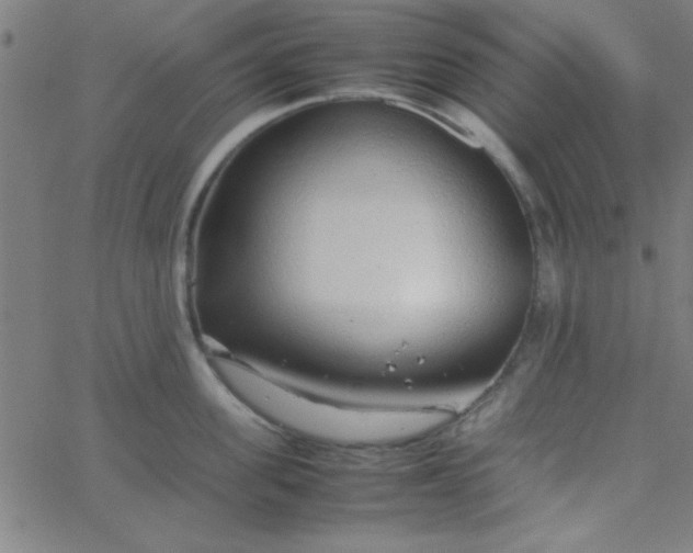 X0000067910955200604271914