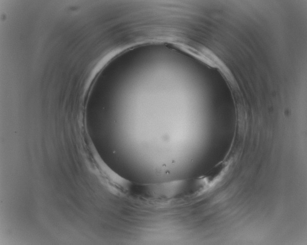 X0000067910956200604271914