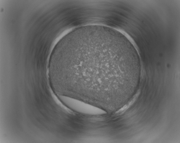 X0000067910957200604271914