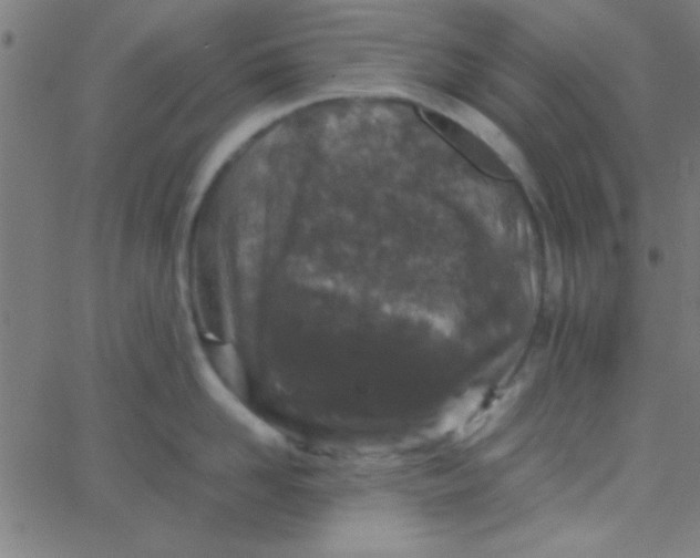 X0000067910958200604271914