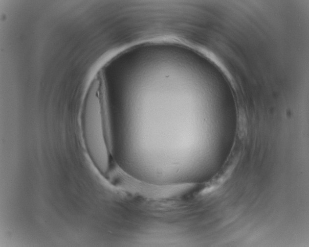 X0000067910959200604271914