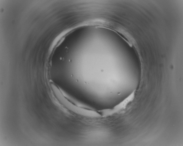 X0000067910960200604271914