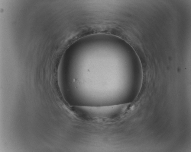 X0000067910961200604271914