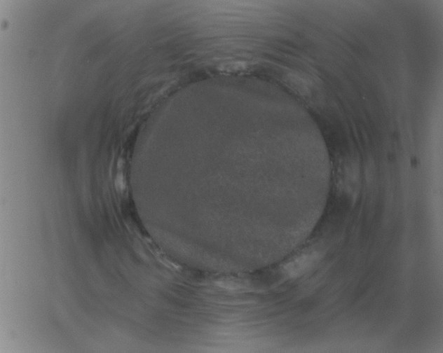 X0000067910962200604271914