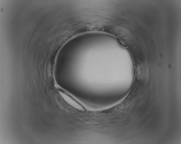 X0000067910963200604271914