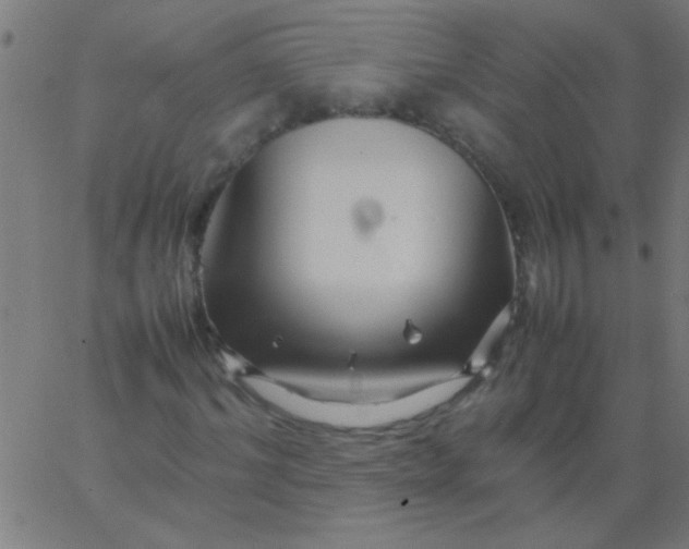 X0000067910964200604271914