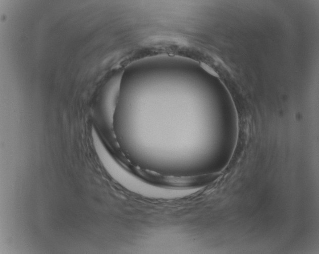 X0000067910965200604271914