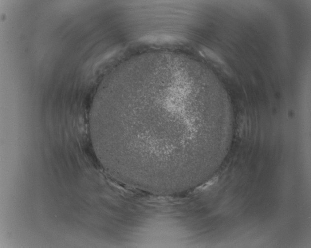 X0000067910966200604271914