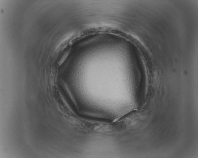 X0000067910967200604271914