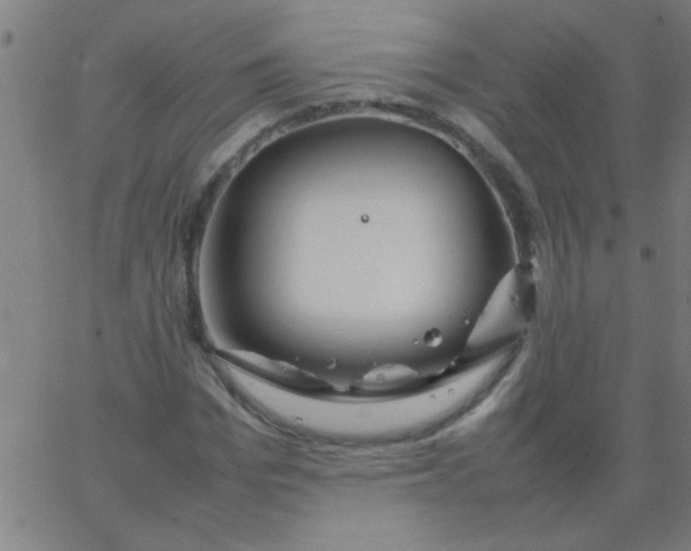 X0000067910969200604271913