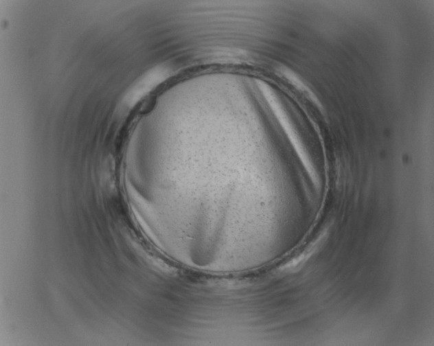 X0000067910970200604271913