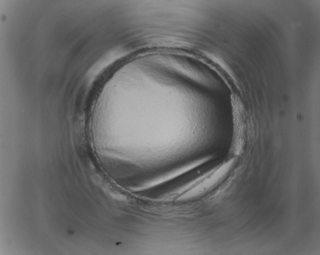 X0000067910971200604271913