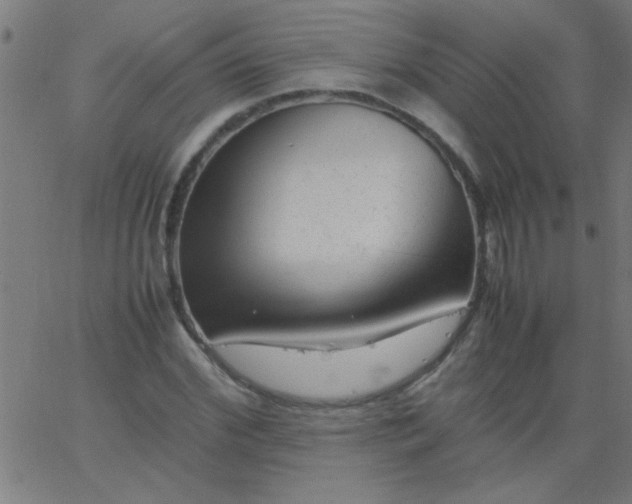 X0000067910972200604271913