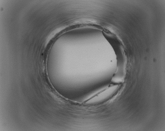 X0000067910973200604271913