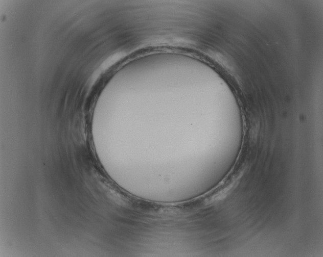 X0000067910974200604271913