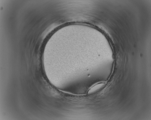 X0000067910975200604271913