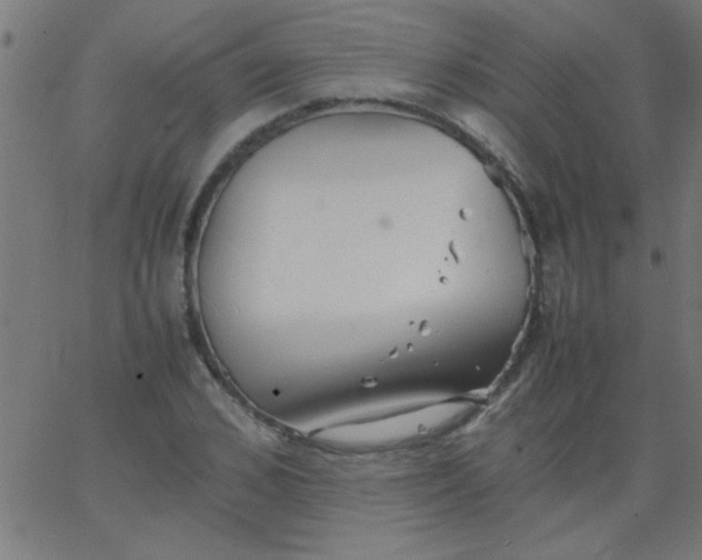 X0000067910976200604271913