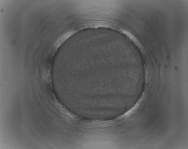 X0000067910977200604271913