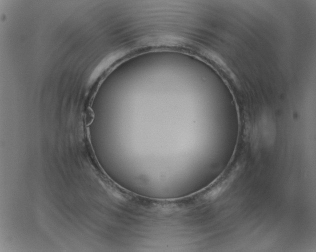 X0000067910978200604271913