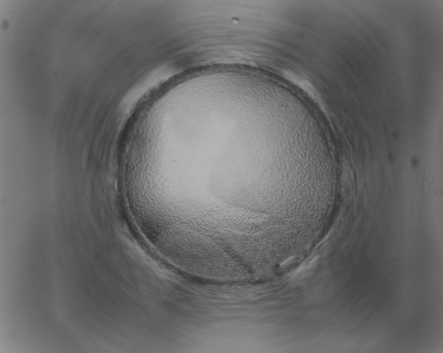 X0000067910979200604271913