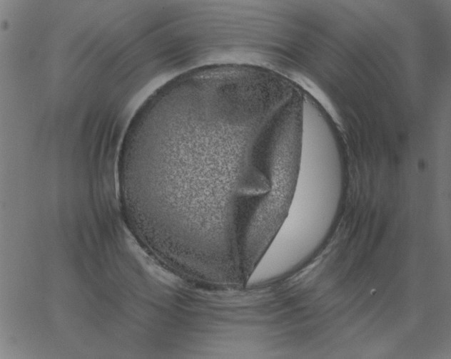 X0000067910980200604271913