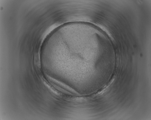 X0000067910982200604271913