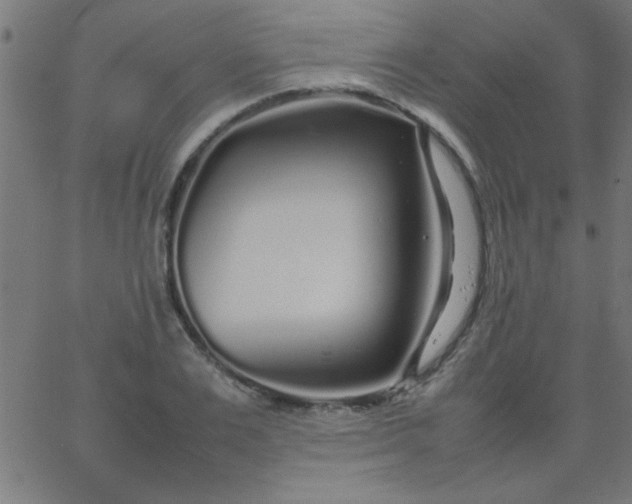 X0000067910983200604271913