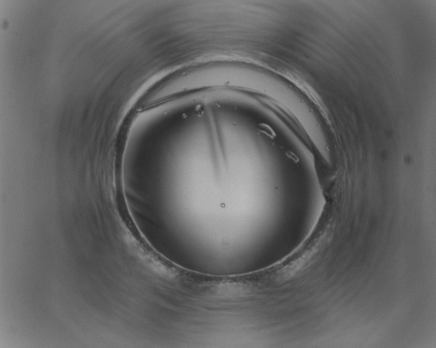 X0000067910984200604271913