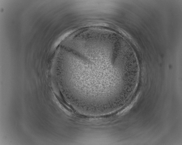 X0000067910985200604271913