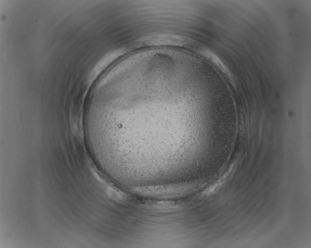 X0000067910986200604271913