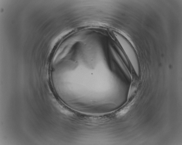 X0000067910987200604271913