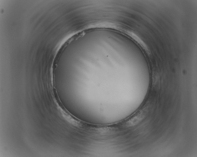 X0000067910988200604271913