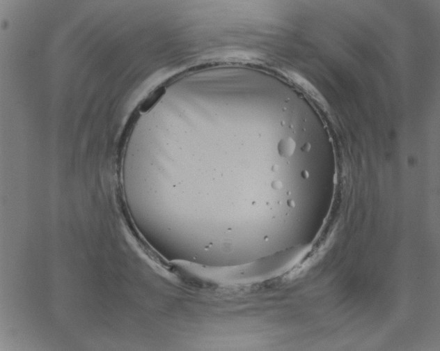 X0000067910989200604271913