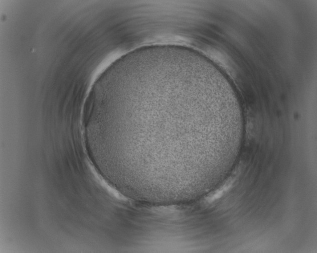 X0000067910990200604271913