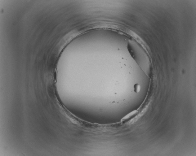 X0000067910993200604271913