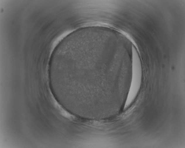 X0000067910995200604271913