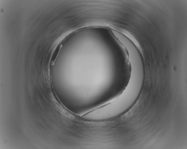 X0000067910996200604271913