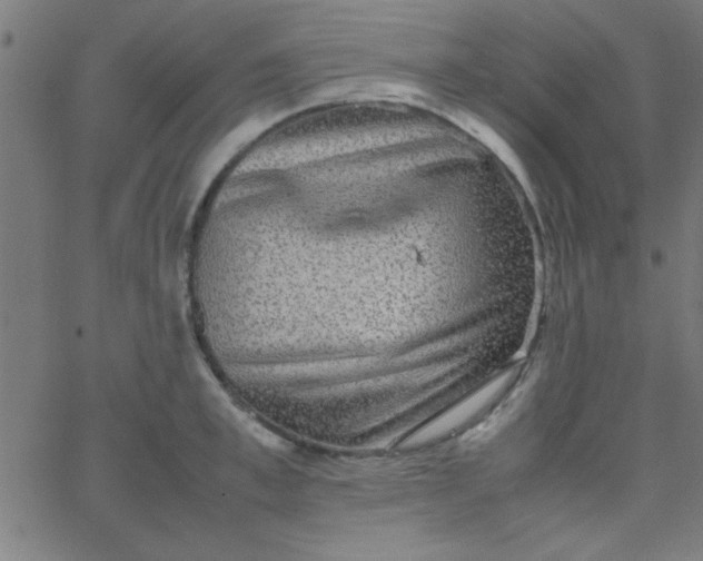 X0000067910997200604271913