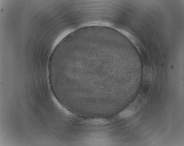 X0000067910998200604271913