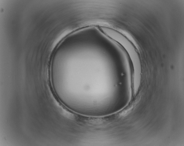 X0000067910999200604271913