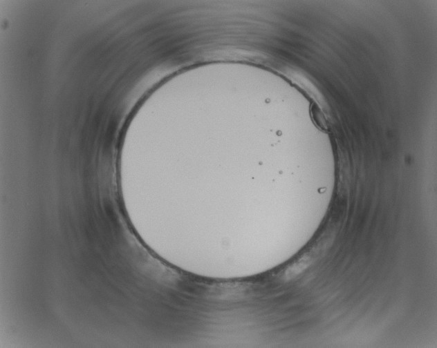 X0000067911000200604271913