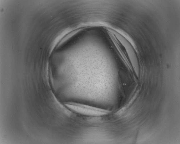 X0000067911006200604271913